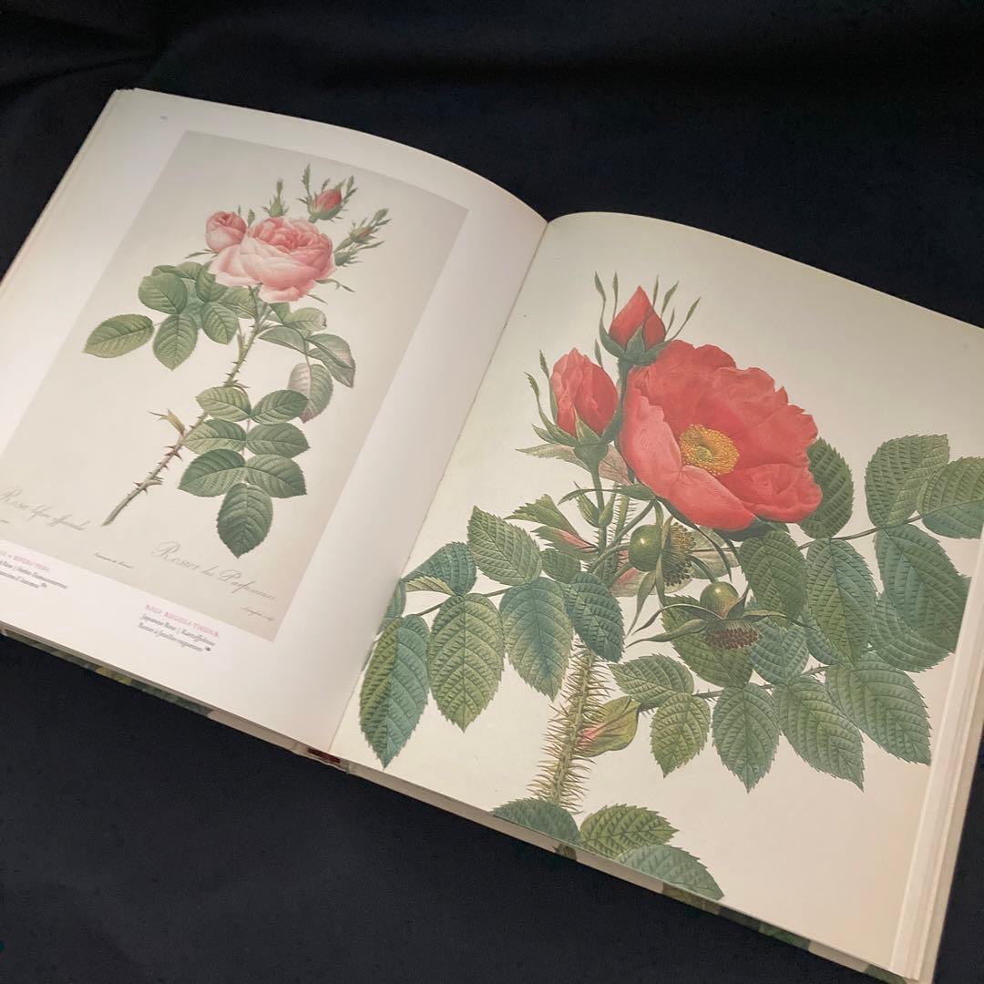 期間限定価格　美品洋書　REDOUTEルドゥーテ画集　ローズ　ボタニカルアート