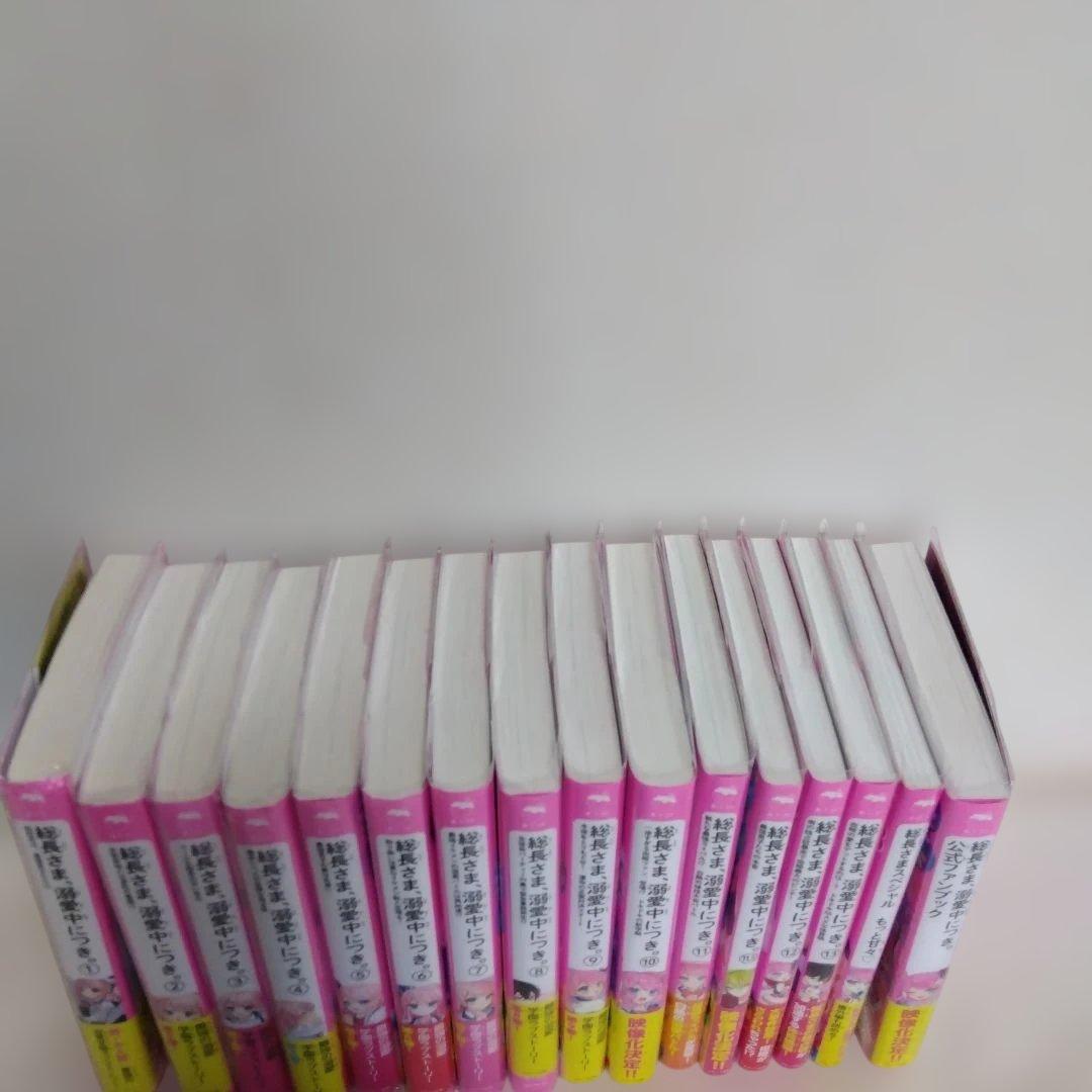 ころころ 総長様は溺愛中につき 全14巻+2冊セット