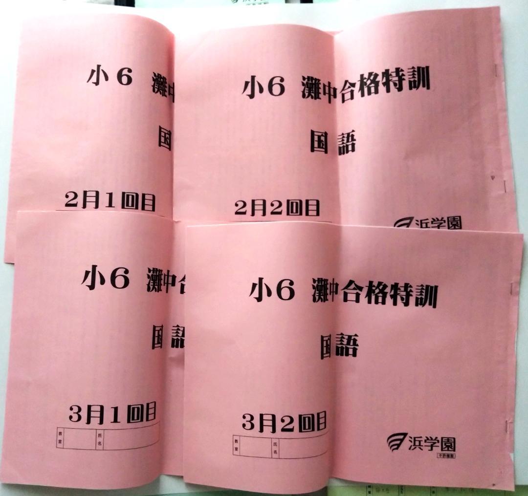 浜学園　灘中合格特訓 小6 国語　１０冊シリーズ g12