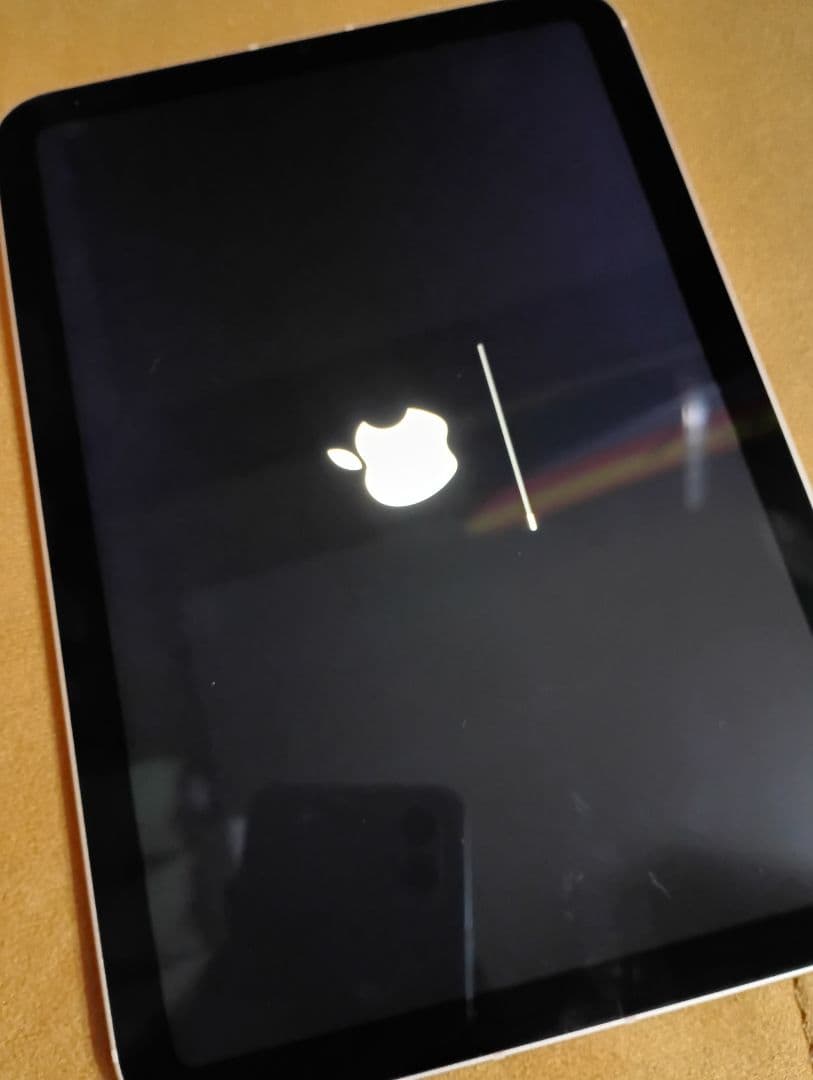 【利用制限×】iPad mini 第6世代64GB 本体のみ Wi-Fi使用OK