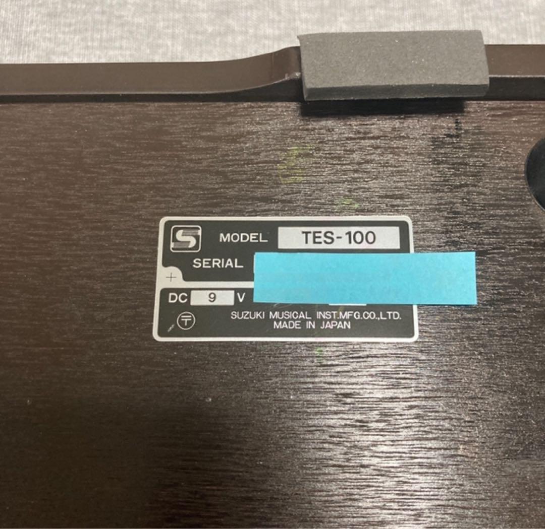 SUZUKI 大正琴 和楽 TES-100 専用ハードケース付