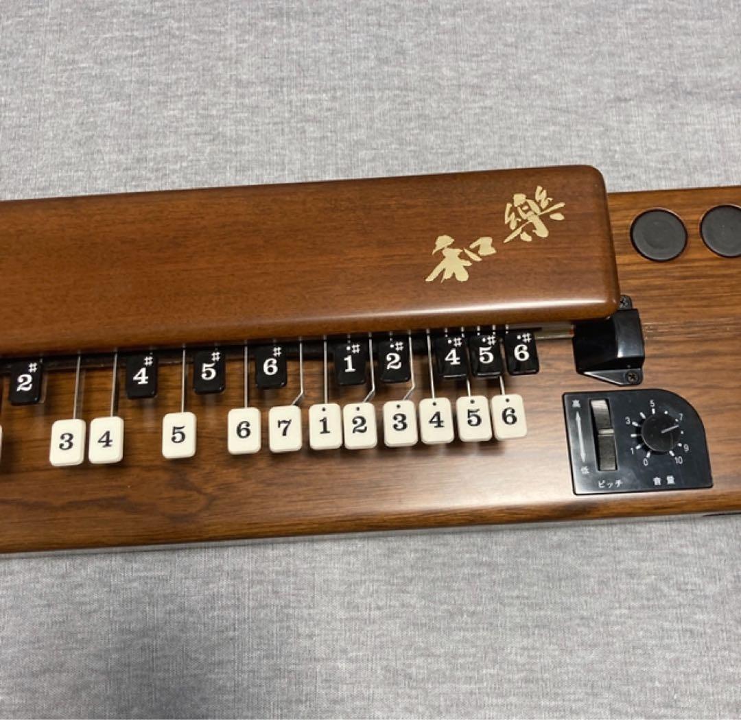 SUZUKI 大正琴 和楽 TES-100 専用ハードケース付