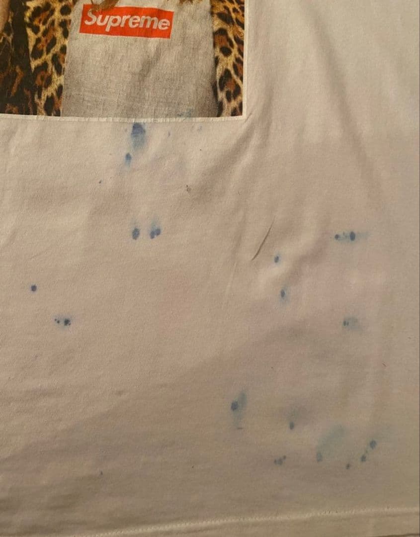 【難あり】Supreme　Kate Moss Tee ケイトモス Tシャツ