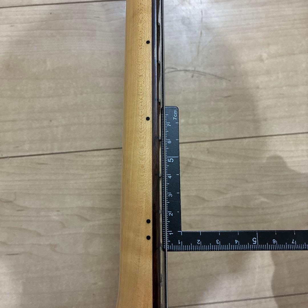 フォトジェニック　ムスタング MG-200　中野梓