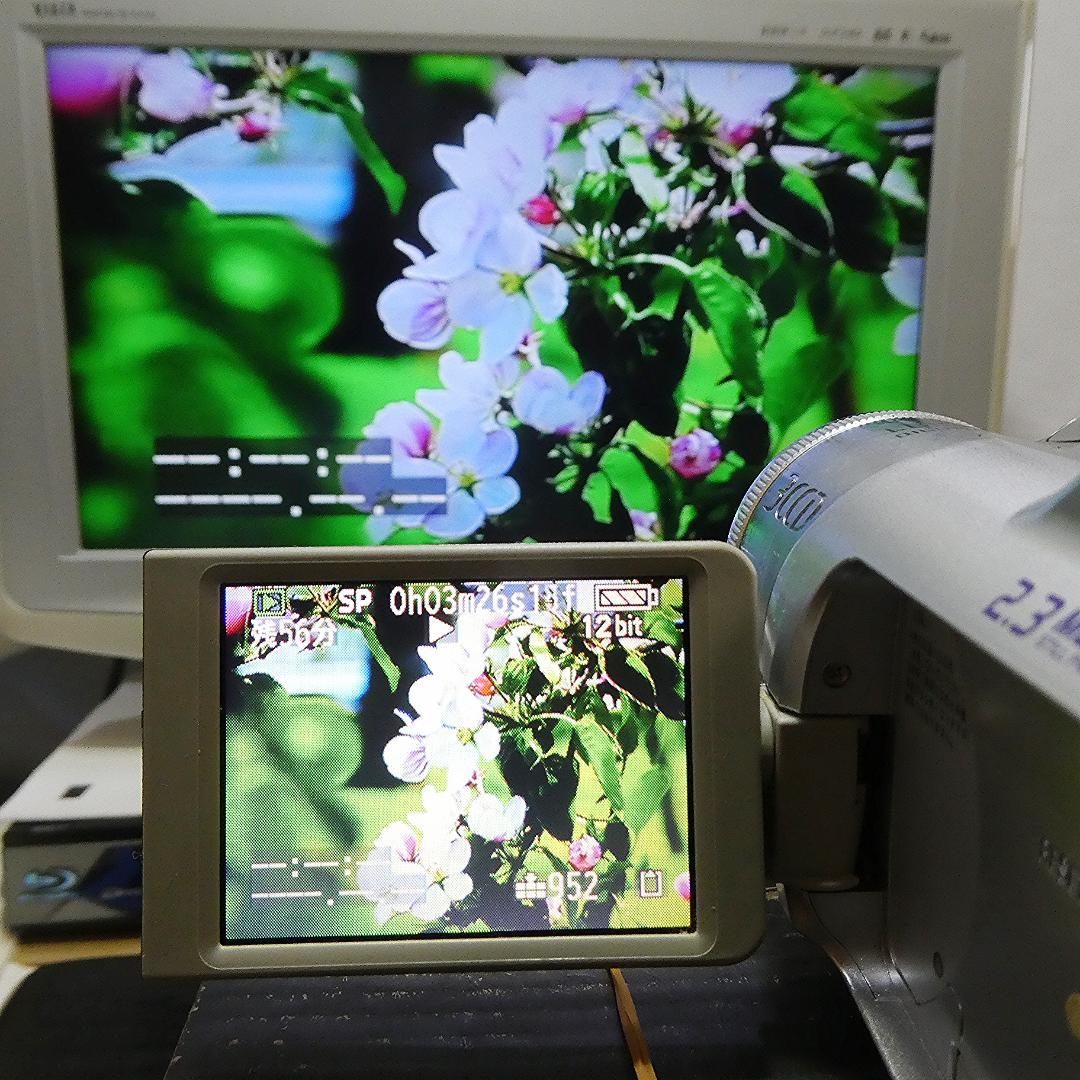 動作良好 パナソニック NV-GS150 MiniDVビデオカメラDVD化に最適