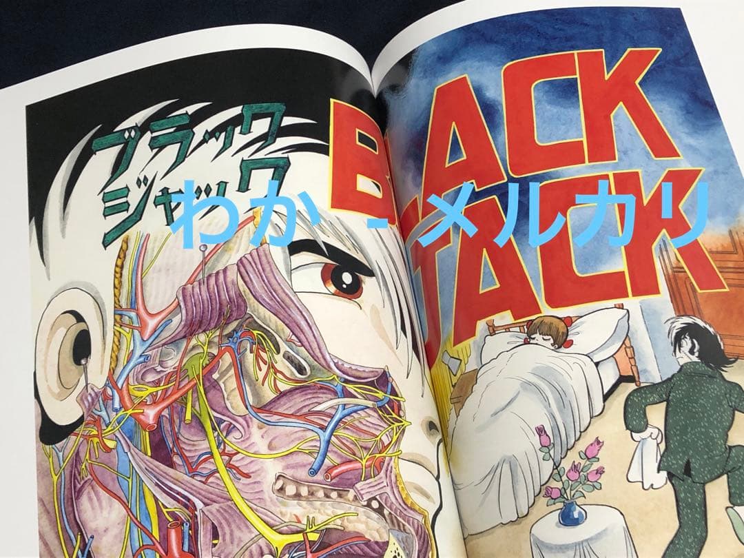 10点　ブラックジャック展　アートブック　大アクリルスタンド　ポスターバッグ
