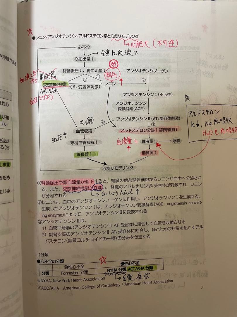 薬ゼミ 110回 薬剤師国家試験対策　白本