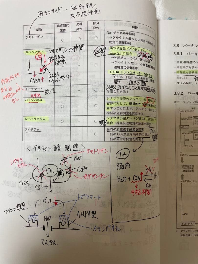薬ゼミ 110回 薬剤師国家試験対策　白本