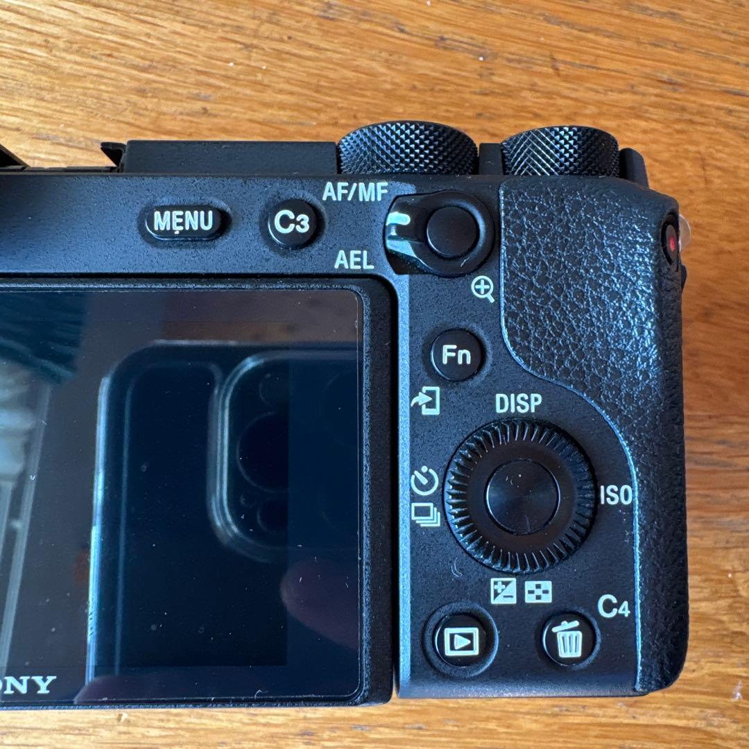 SONY α6600
