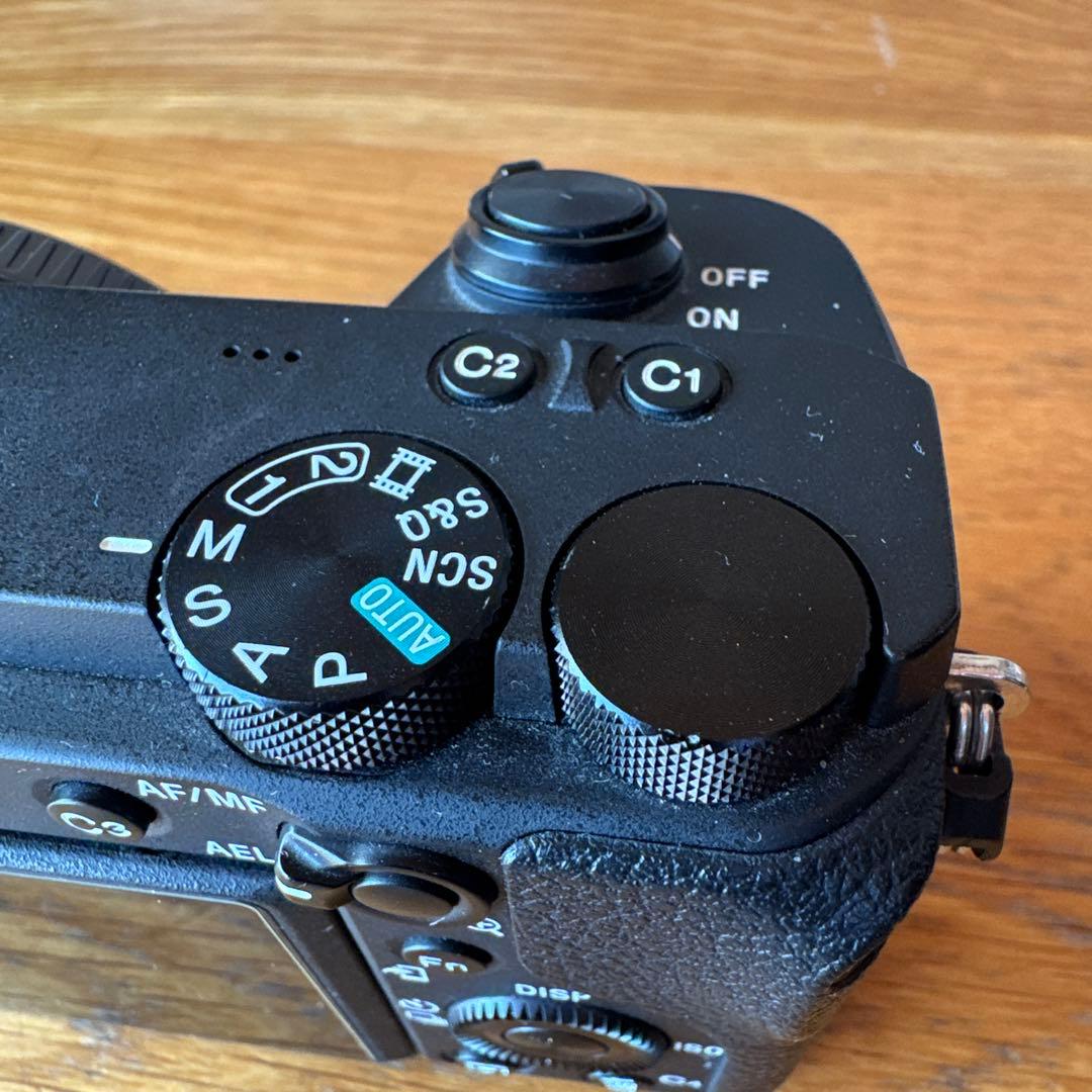 SONY α6600