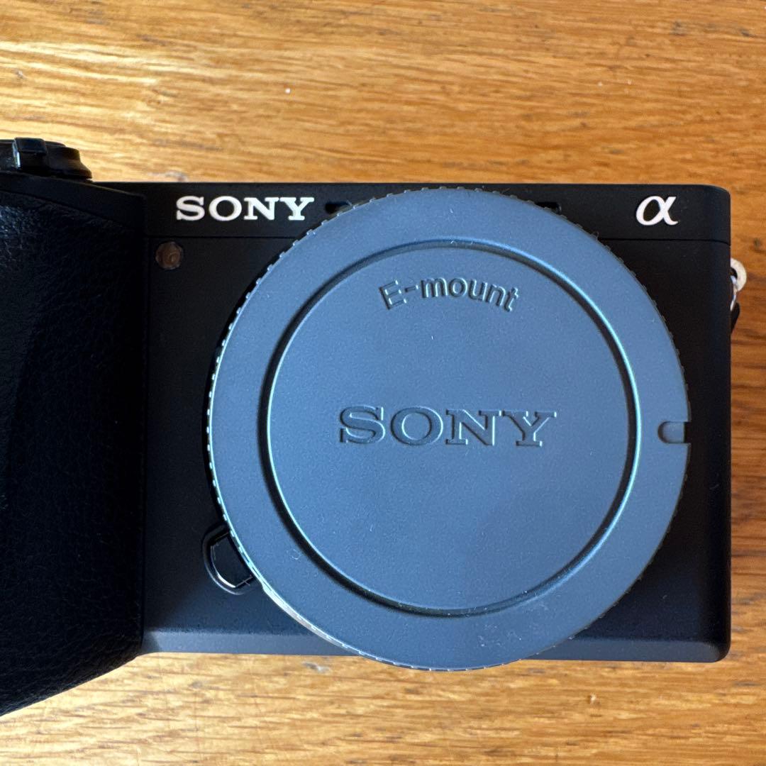 SONY α6600