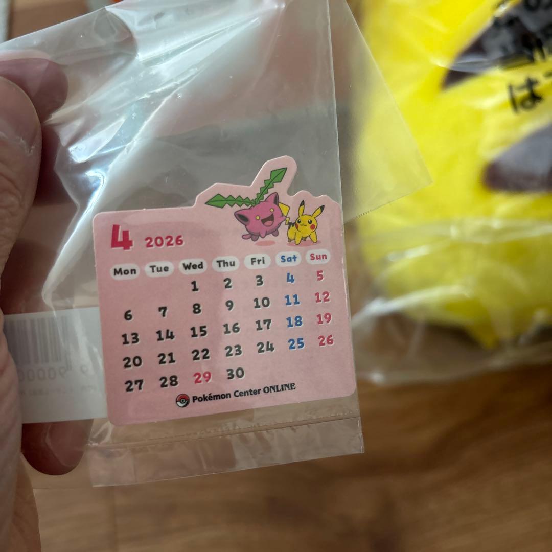 a*い様 【最安値】おかえり！ピカチュウ1/1ぬいぐるみ未開封ポケモンおまけ付き