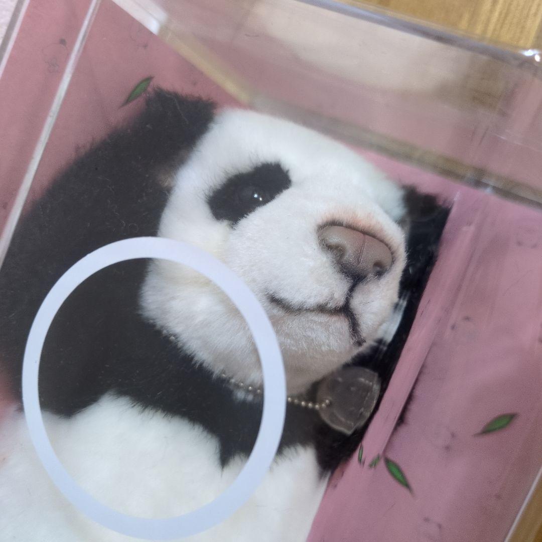 ゆうちゃんさま専用　台北市立動物園　パンダ　ユエンザイ　限定ぬいぐるみ　未使用