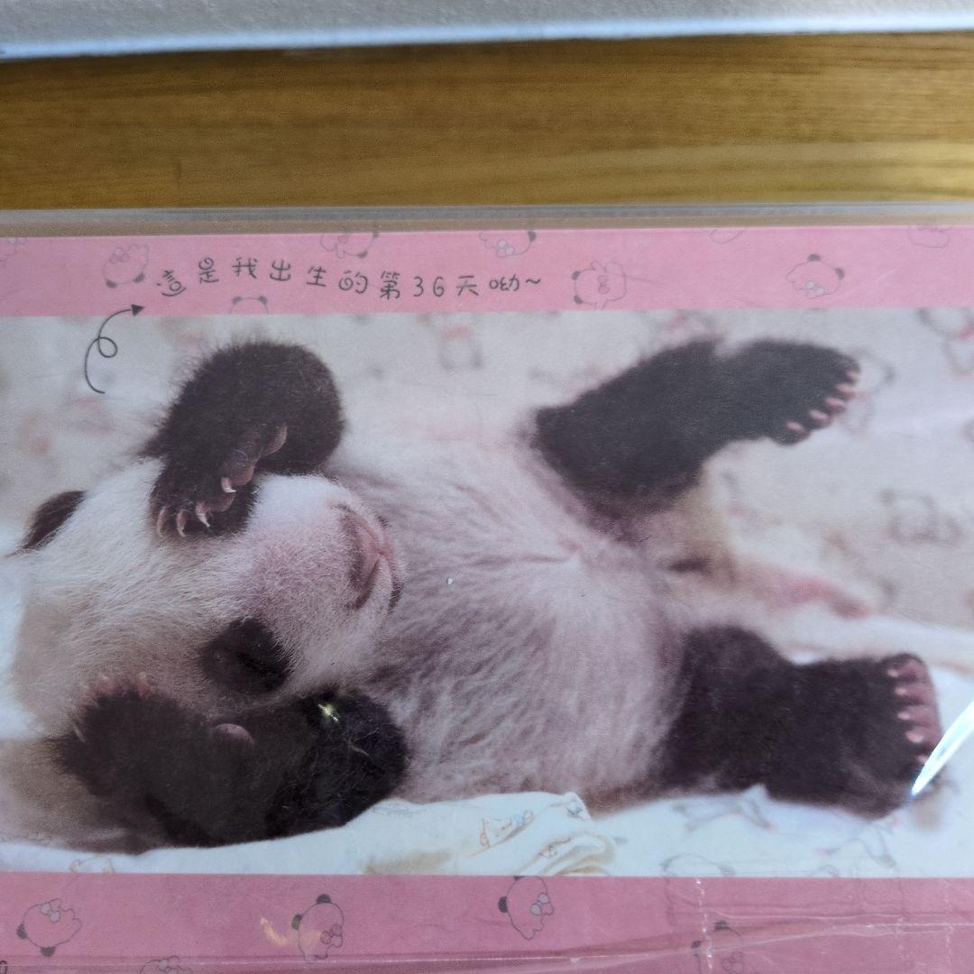 ゆうちゃんさま専用　台北市立動物園　パンダ　ユエンザイ　限定ぬいぐるみ　未使用