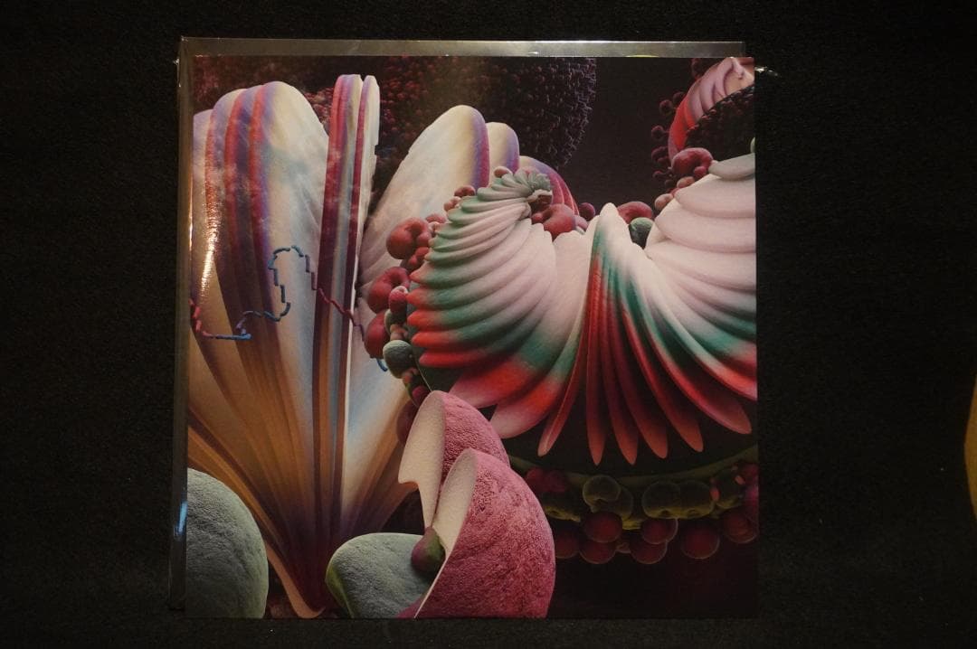 【輸入盤2LP】bjork『fossora フォソーラ』アナログ・カラーレコード