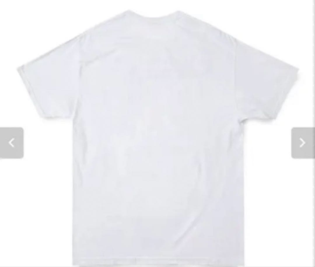 Newtype × 新世紀エヴァンゲリオン × GEEKS RULETSHIRT