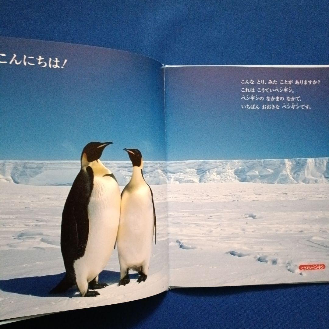 ビッグサイエンス　キンダーブックしぜん　こどものくに　ペンギンさんの絵本　大集合