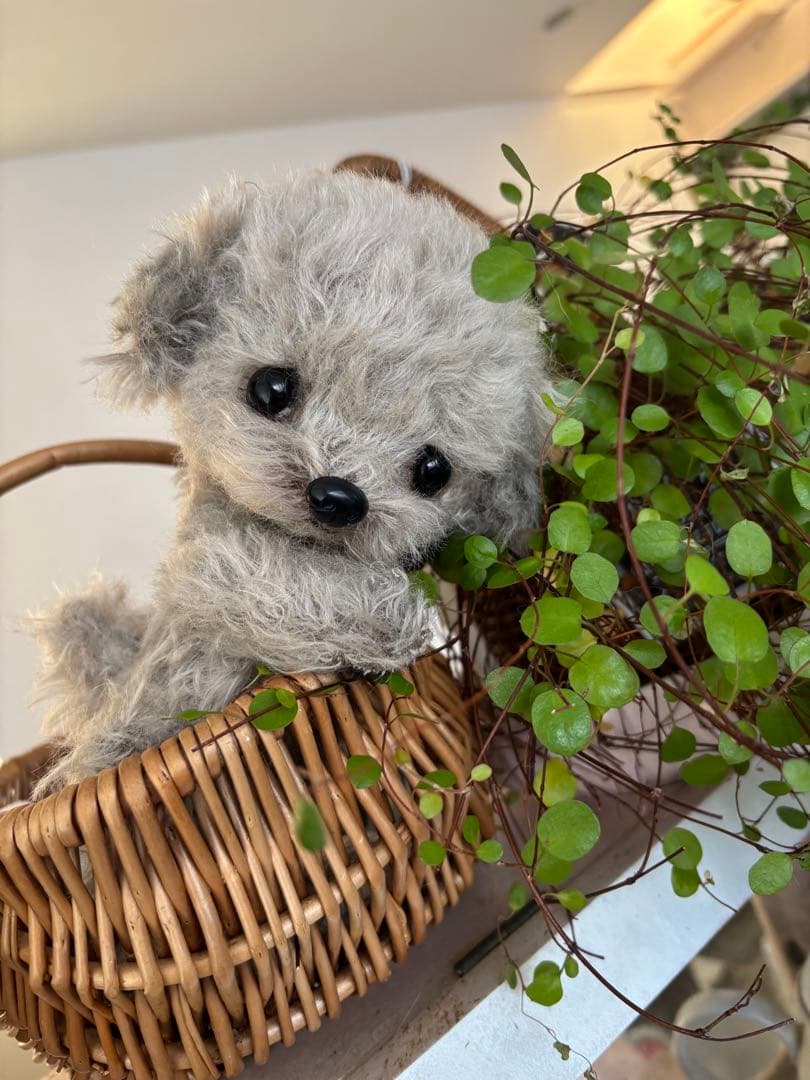 テディプードル　テディわんこ　トイプードル マルプー　ハンドメイド　ぬいぐるみ