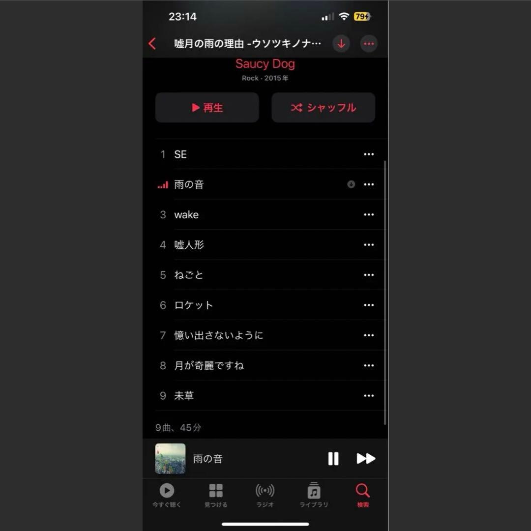 み*ー様 【激レア】Saucy Dog 廃盤 嘘月の雨の理由 サウシードッグ
