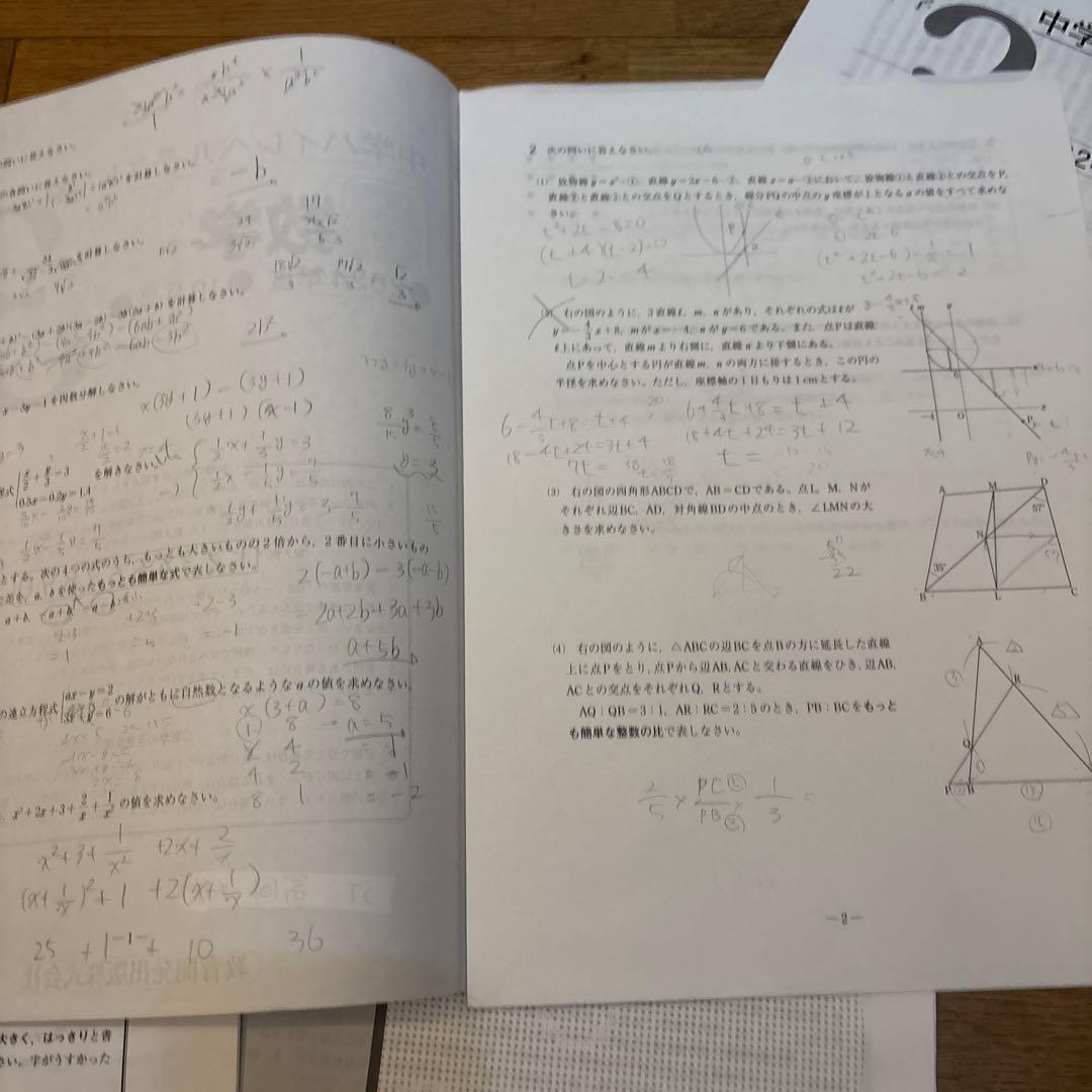 早稲アカ 中3 ハイレベルテスト 2024年度4月〜1月 必修 特訓選抜