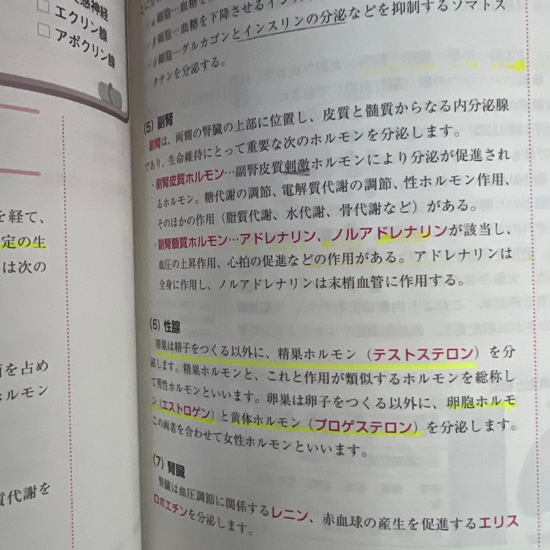 社会福祉士合格指導講座 1-5 セット