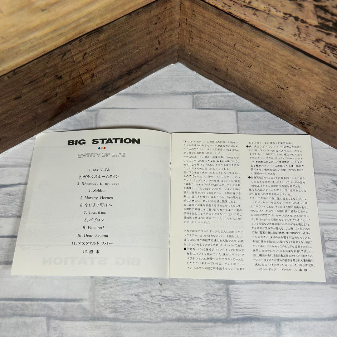 BIG STATION 廃盤「ENTITY OF LIFE」元ハウンドドック