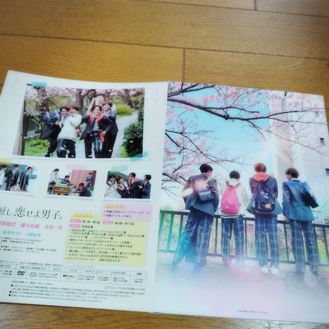 ドラマ　シンドラ　春は短し恋せよ男子。　DVD BOX　3枚組　美少年　美 少年