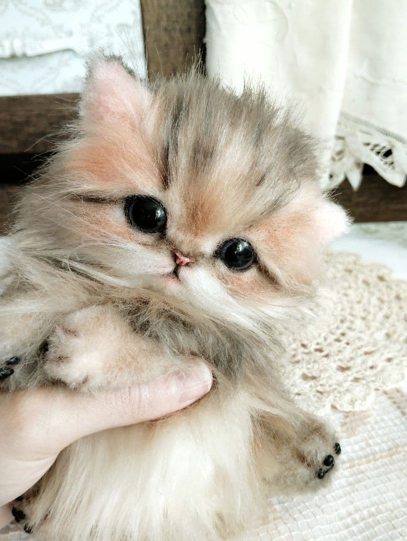 チンチラゴールデン♡子猫のふわりちゃん♡アートドール♡ぬいぐるみ♡