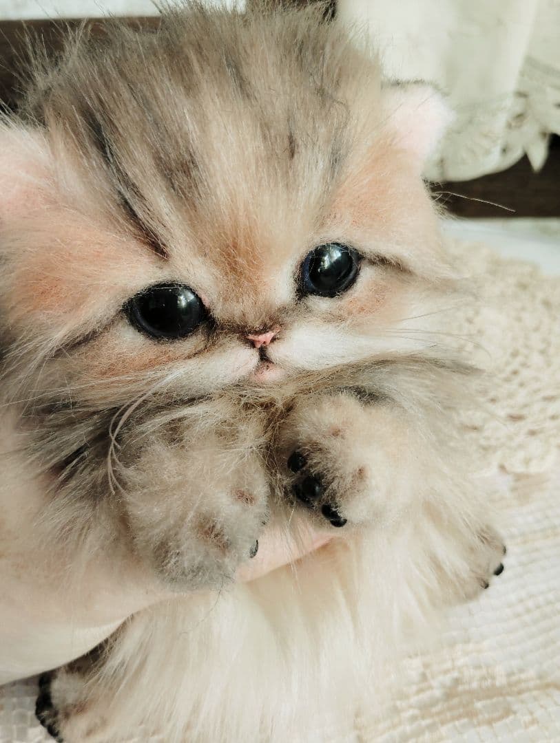 チンチラゴールデン♡子猫のふわりちゃん♡アートドール♡ぬいぐるみ♡