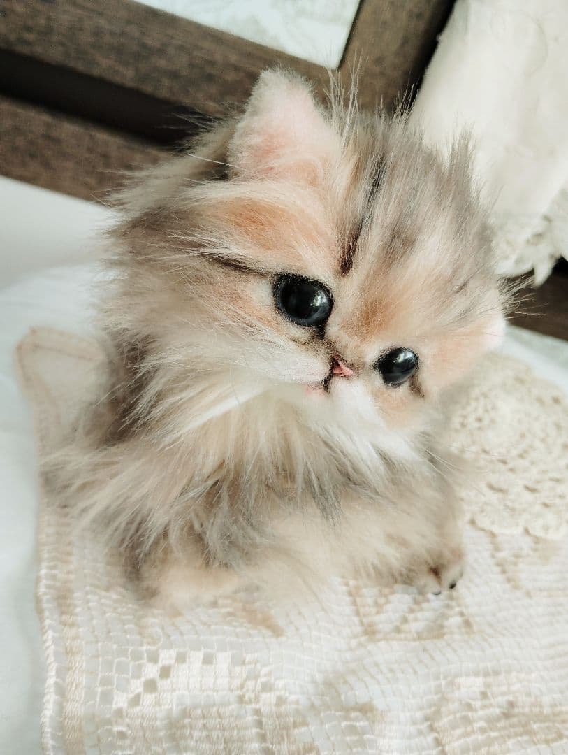 チンチラゴールデン♡子猫のふわりちゃん♡アートドール♡ぬいぐるみ♡