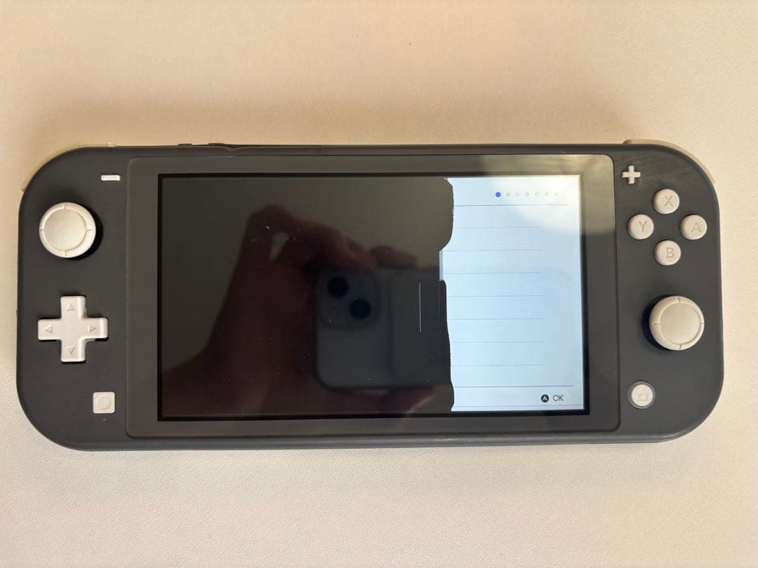 d*9様 【海外製・ジャンク】NintendoSwitch Lite グレー 充