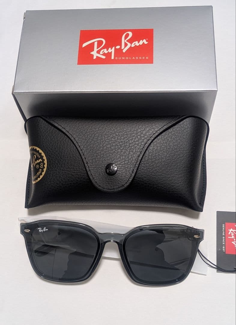 【新品】レイバン RB4392D 645087 66サイズ クリアグレー