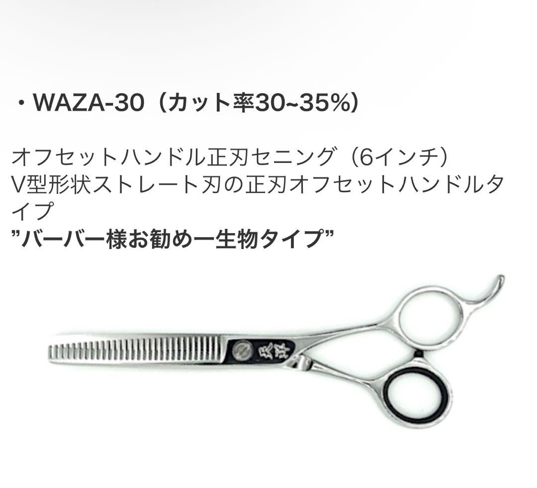 【今月まで】 天洋　WAZA-30