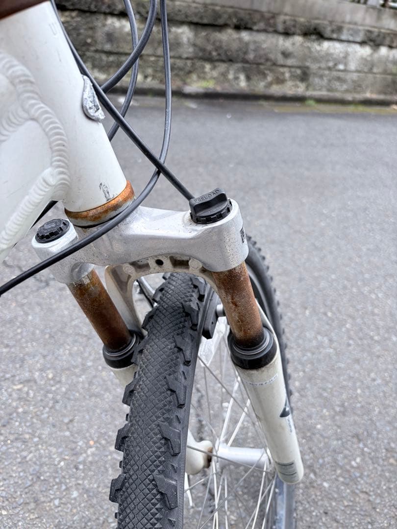 LOUIS GARNEAU LGS-J24 MTB マウンテンバイク 24インチ