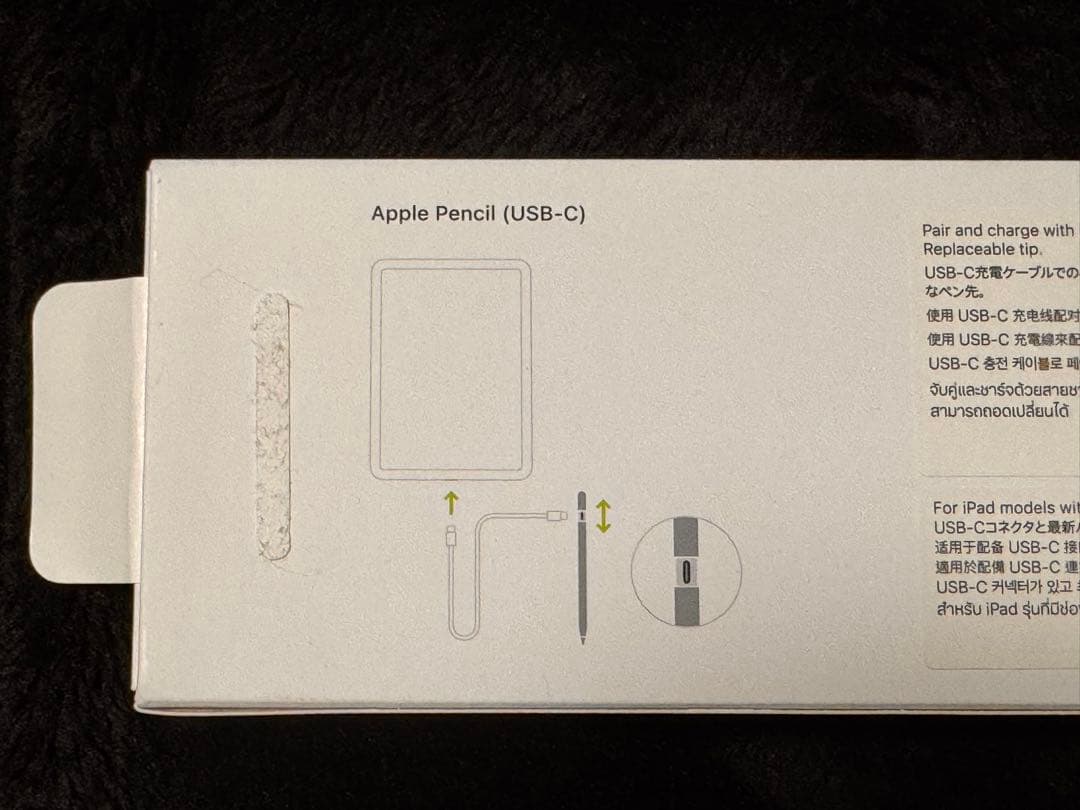 Apple Pencil USB-C A3085 アップル ペンシル 箱付き