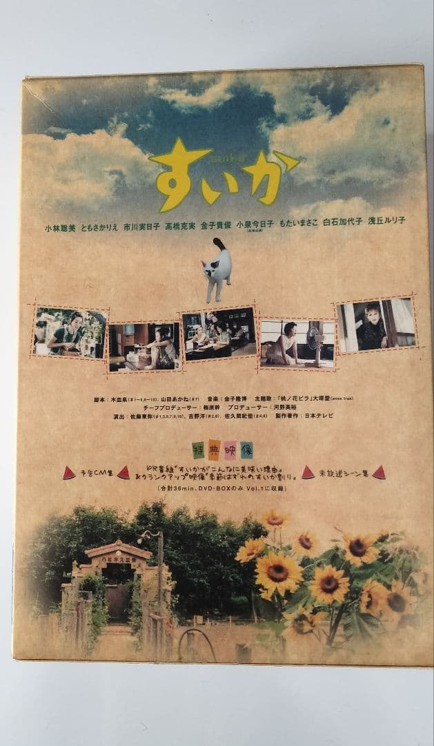 【最終値下げ】すいか DVD-BOX〈4枚組〉収納ボックス入り　小林聡美ドラマ