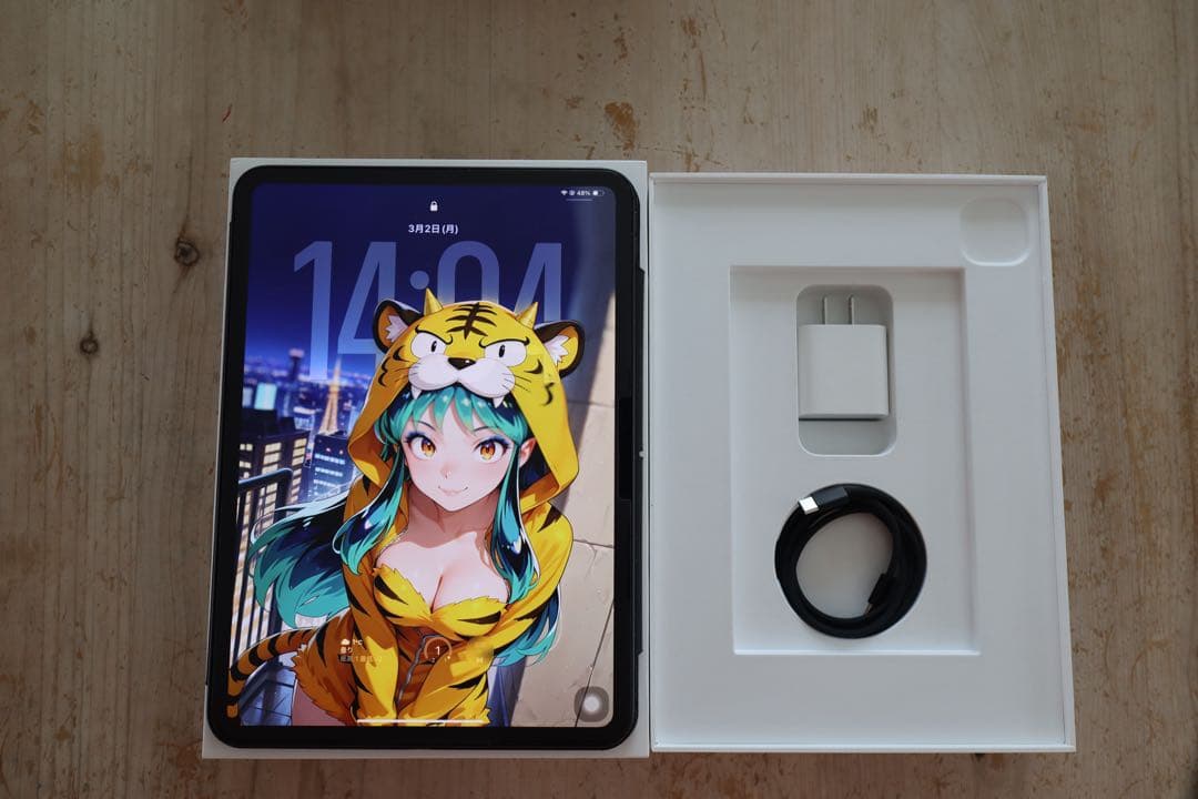 【美品】iPad Pro11インチ M4 256GBスペースグレー Wi-Fi