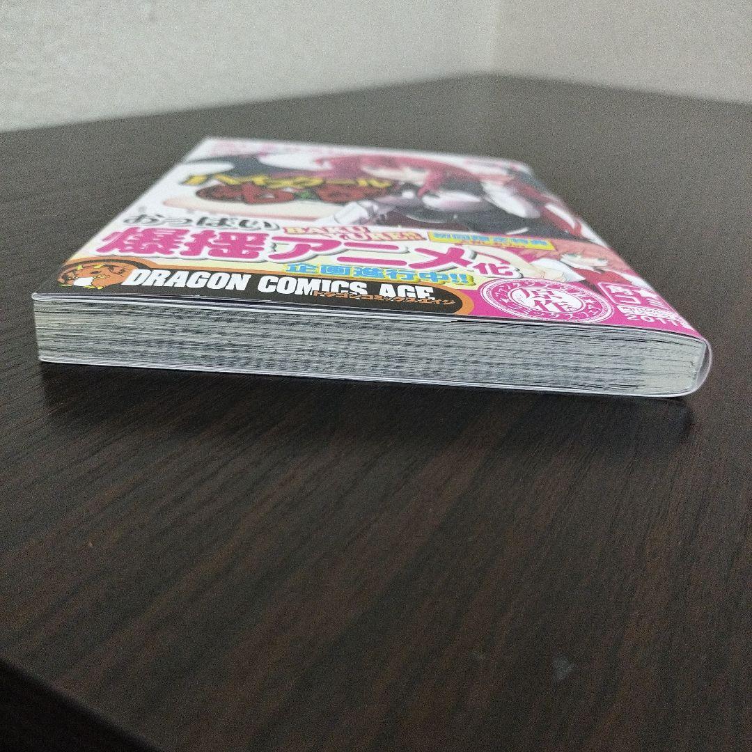 希少！　ハイスクールD×D　1巻　初版　帯、新刊案内、ハガキ付き