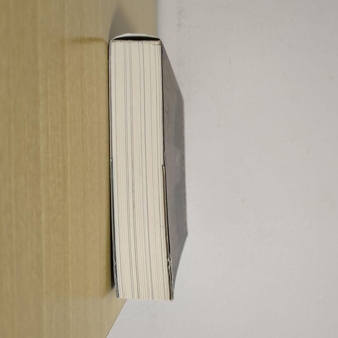 ファウストの悪夢（小説）