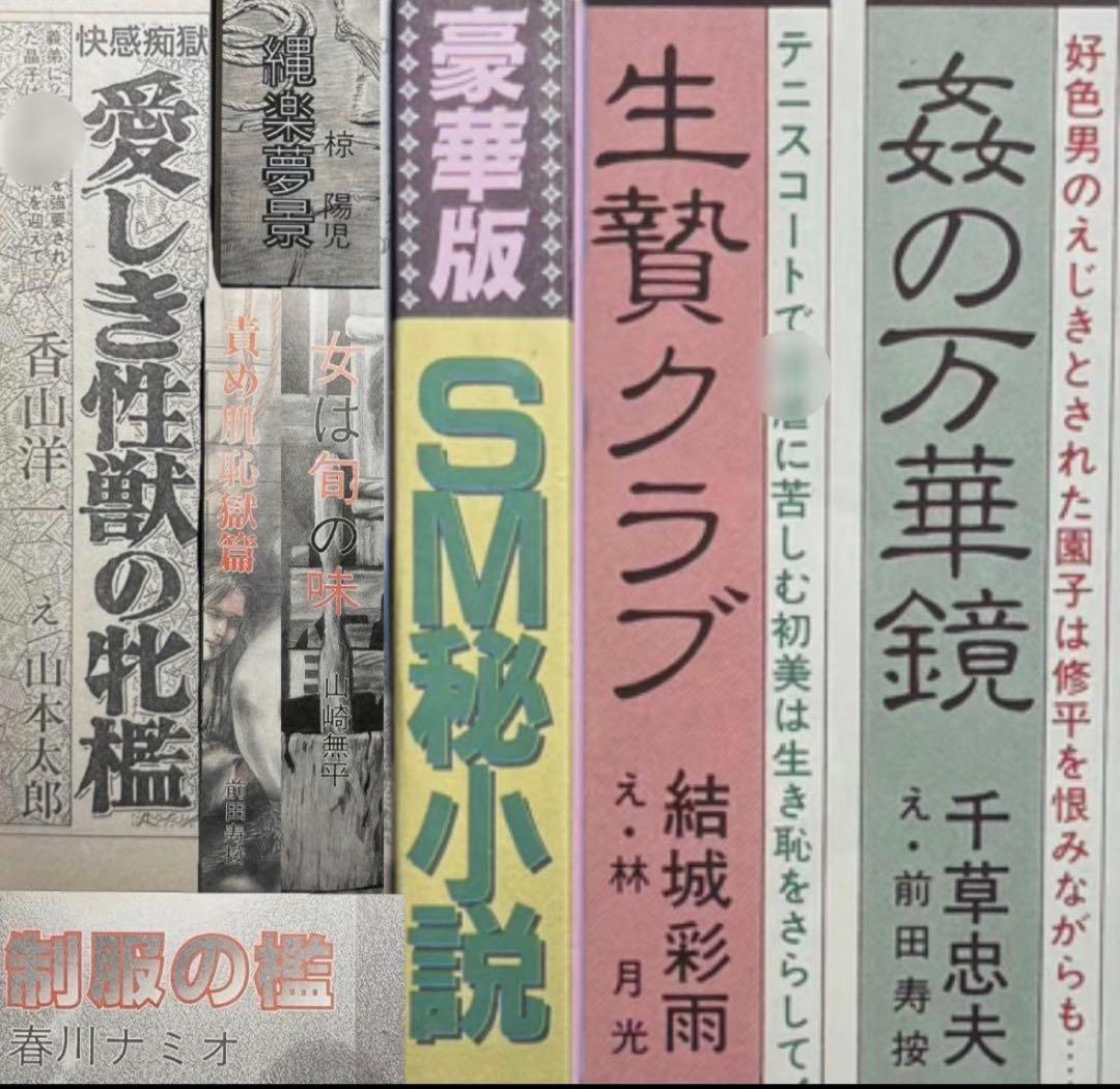 絶版】秘小説 H5年5月 千草忠夫 結城彩雨 　　　前田寿按 楡畑雄二 椋陽児