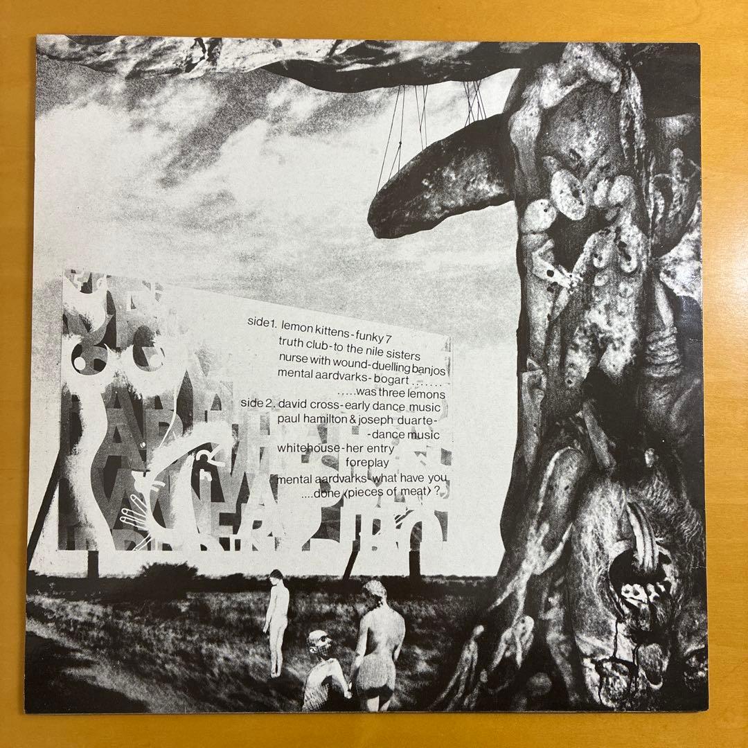 HOISTING THE BLACK FLAG 輸入12inchレコード
