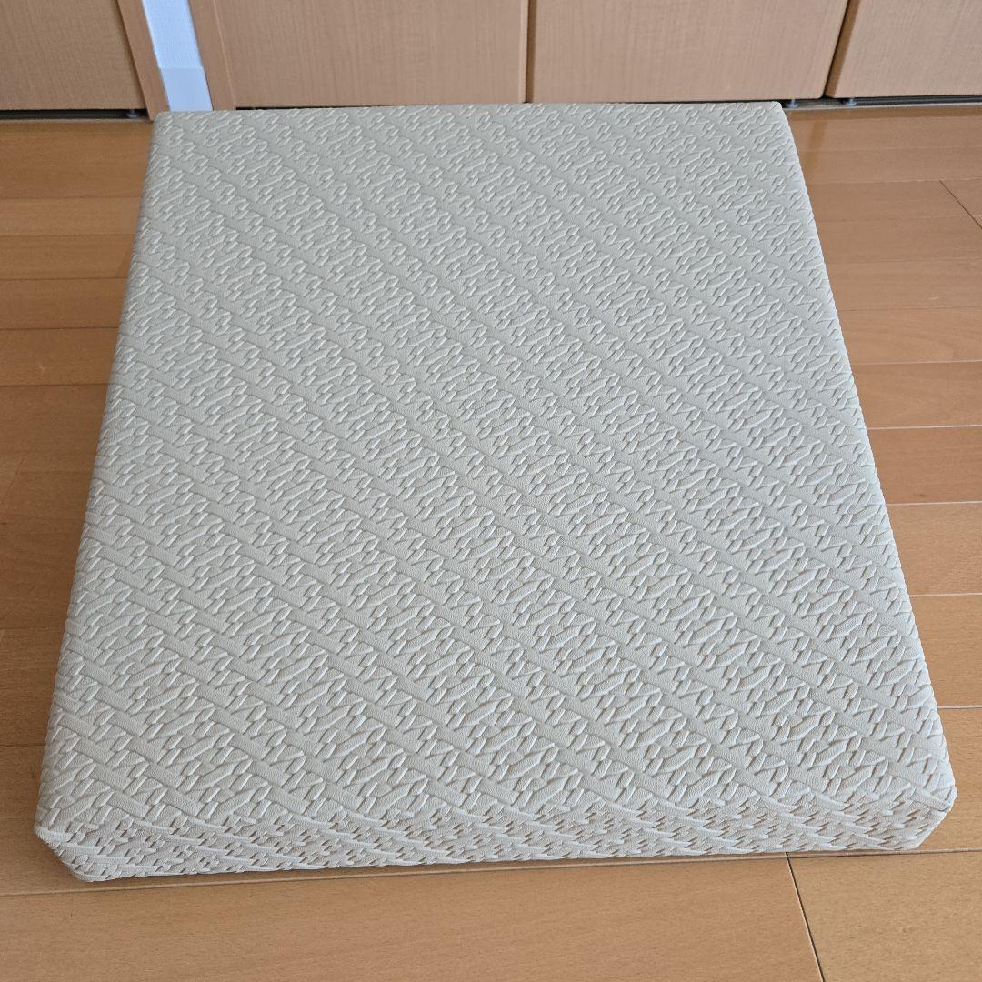 【美品・ほぼ新品】サンテプラス フレックスクッション ベージュ(本体のみ)