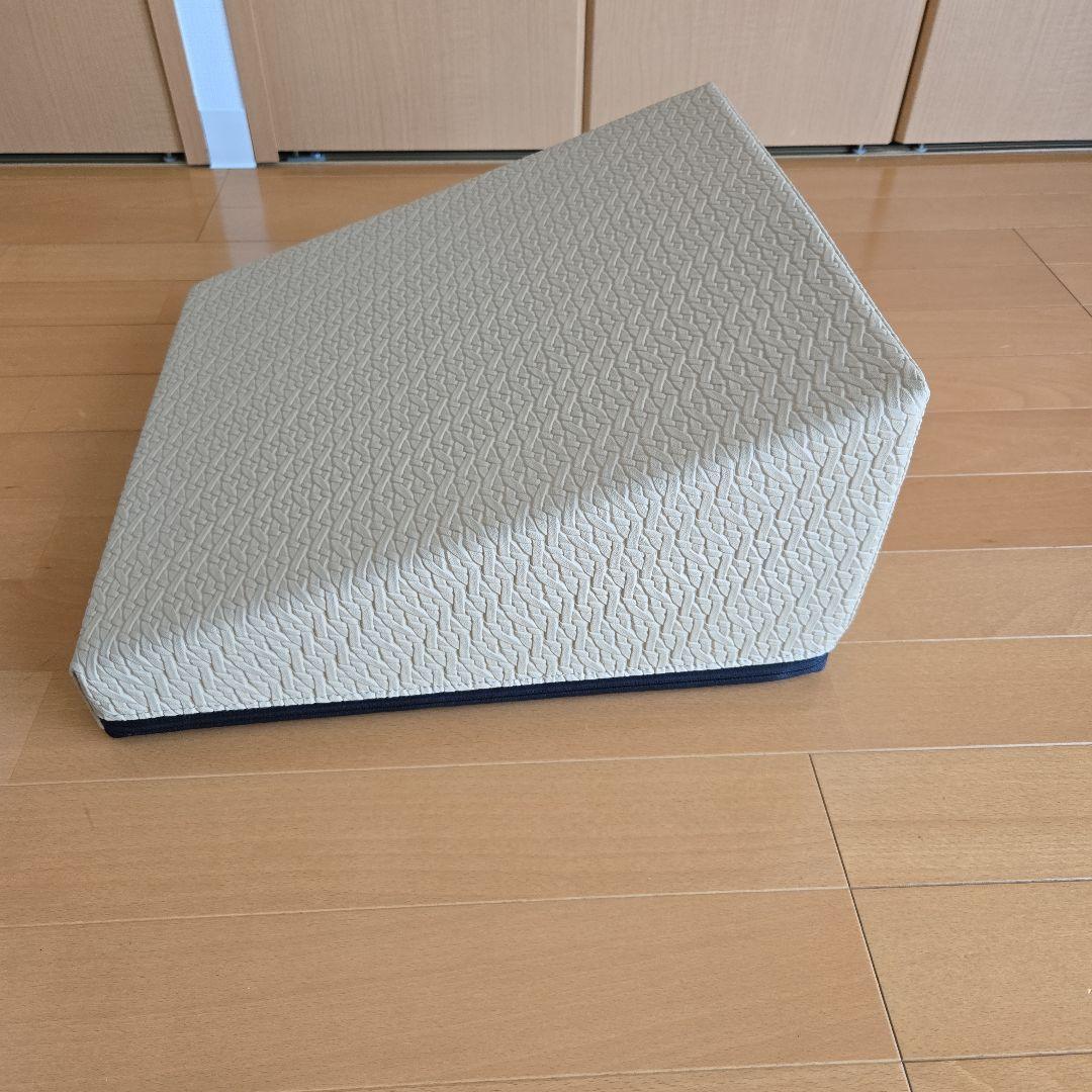 【美品・ほぼ新品】サンテプラス フレックスクッション ベージュ(本体のみ)