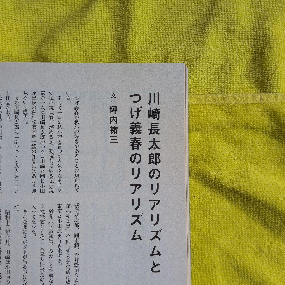 絶版　スペクテイター　➕️9冊全巻揃い　文庫　つげ義春　コレクション　大全　全集
