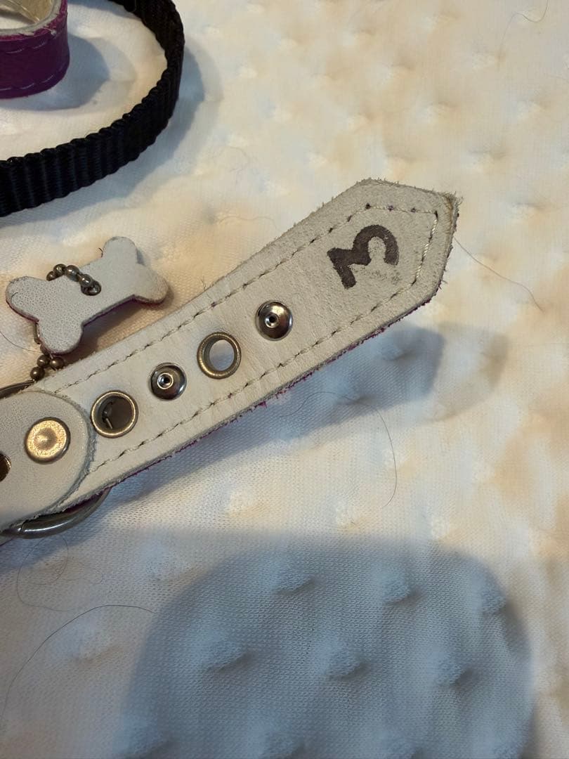 Buddy Belts パープル ハーネス