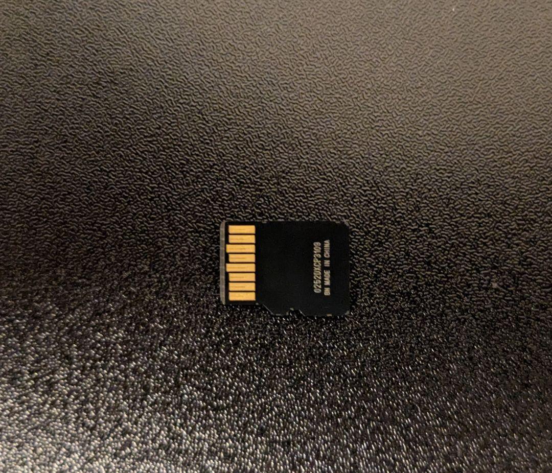 Switch Lite グレー SanDisk micro SDカード付き
