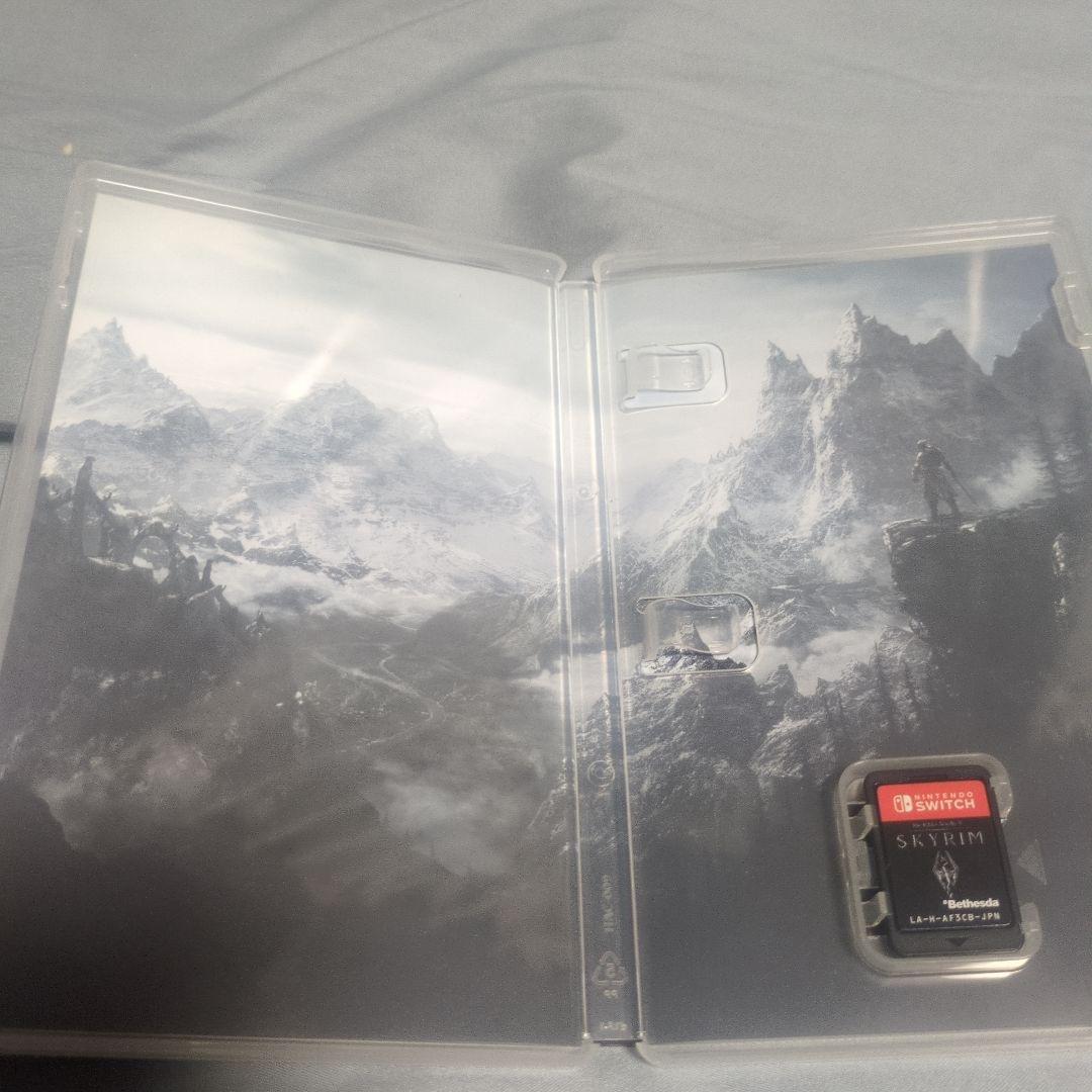 Nintendo Switch skyrim switch