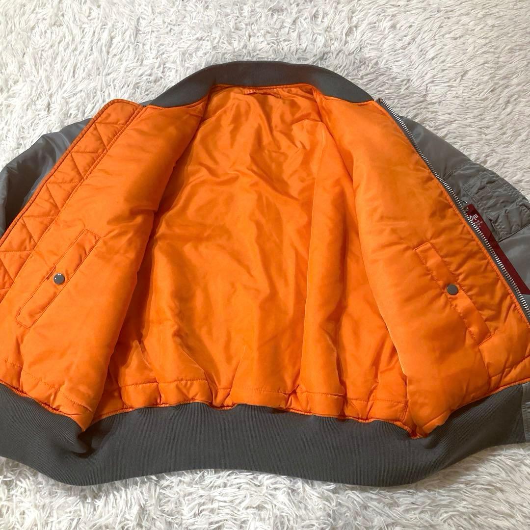 【希少カラー・ビッグサイズ】 アルファインダストリーズ　現行　シルバー　XL
