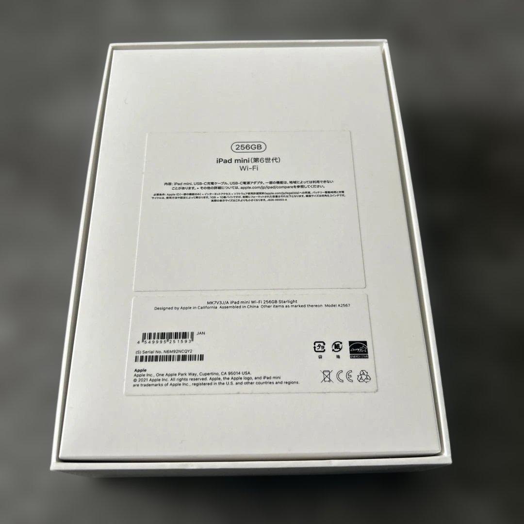 Apple iPad mini シルバー 10.9インチ 本体