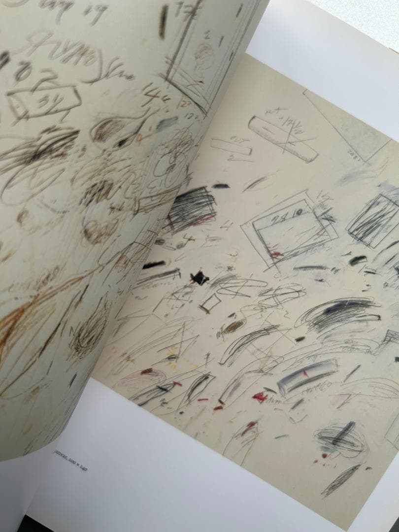 アート・デザイン・音楽 Cy Twombly : Cycles and Seasons